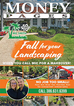 New Smyrna Beach Issue cover image